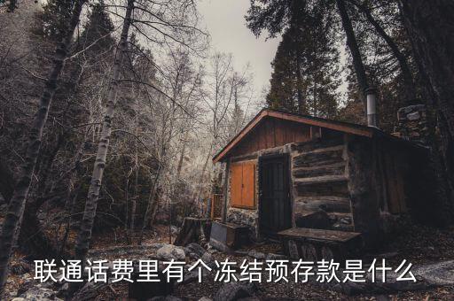 凍結(jié)預(yù)存款是什么意思，聯(lián)通話費里有個凍結(jié)預(yù)存款是什么