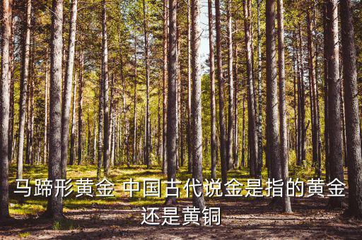 中國古代的黃金是什么，古代中國都使用了哪些金屬