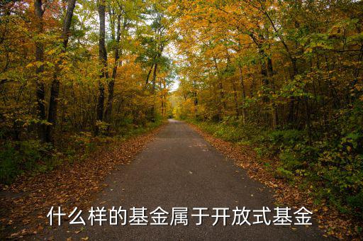 開放式基金是什么，什么叫做開放式基金
