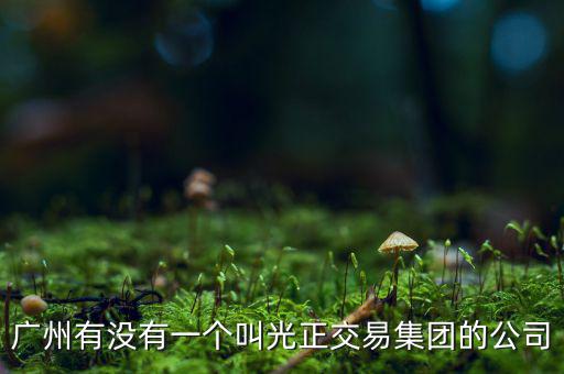 光正集團股票公司主要生產(chǎn)什么，光正集團股票是做什么板塊的