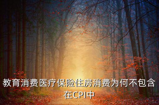 房?jī)r(jià)為什么不納入cpi，為什么在中國(guó)房?jī)r(jià)不算入CPI消費(fèi)水平也就是物價(jià)里面