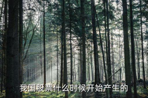 股票什么時(shí)候出來的，股票是什么時(shí)候出現(xiàn)的從世界范圍看