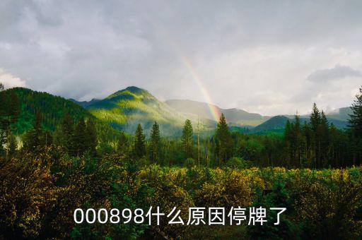 華資實業(yè)為什么停牌，000009今天為何停牌