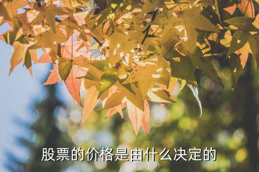 股票價格由什么決定的，股票的價格是由什么決定的