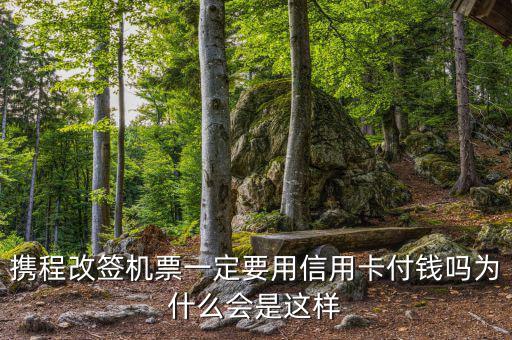 攜程為什么航班改簽，攜程訂了機(jī)票為什么不能改簽
