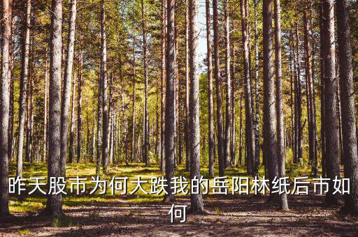 岳陽林紙為什么停牌，誰能告訴我這是怎么回事是停牌了嗎