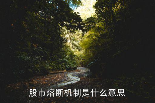 熔斷機(jī)制是什么意思，熔斷機(jī)制怎么理解啊