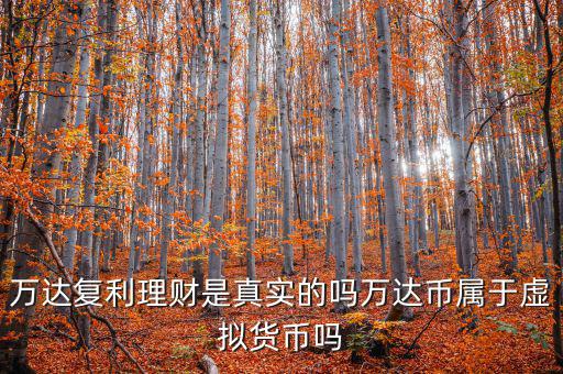 萬達(dá)貨幣是什么，萬達(dá)復(fù)利理財(cái)是真實(shí)的嗎萬達(dá)幣屬于虛擬貨幣嗎