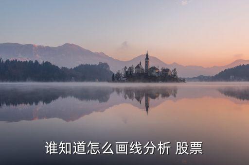 誰(shuí)知道怎么畫(huà)線分析 股票