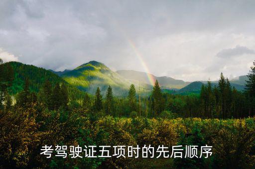 學駕駛五項進度什么安排的，考駕駛證五項時的先后順序