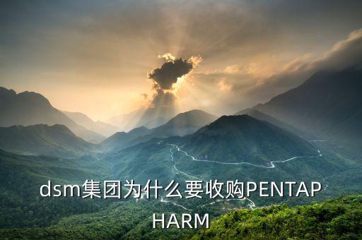 喜游國(guó)際被什么公司并購(gòu)，DSM據(jù)說(shuō)收購(gòu)了一個(gè)特牛的公司是什么大家有知道的嗎