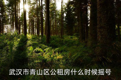 武漢市公租房什么時候搖號，武漢市江岸區(qū)2016年公租房搖號時間