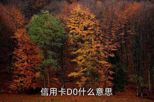 預(yù)付卡的贖回是什么意思，信用卡D0什么意思