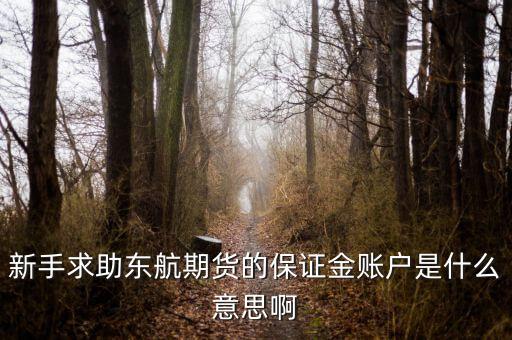 金保證財(cái)富管理和東航什么關(guān)系，國鼎旗下的可溯貸資金安全嗎