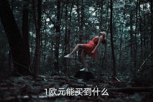 1歐元能買(mǎi)到什么