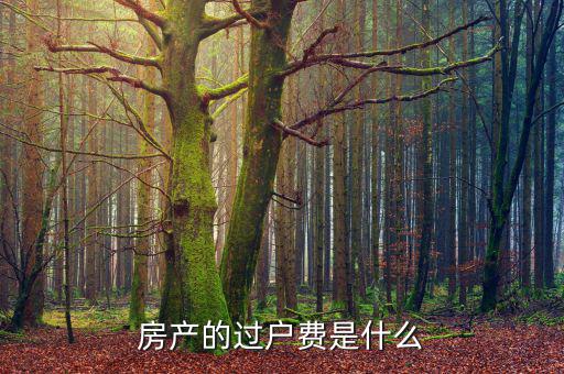 什么是過戶費(fèi)，房產(chǎn)的過戶費(fèi)是什么