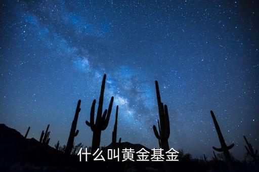 基金類型黃金型是什么意思，基金類型是黃金型所謂的黃金型是什么意思