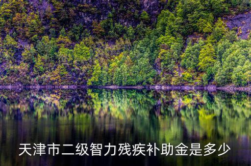 天津市對二級殘疾人有什么補助，二級殘疾人補助標(biāo)準