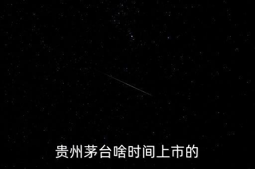 貴州茅臺什么時候上市，貴州茅臺啥時間上市的