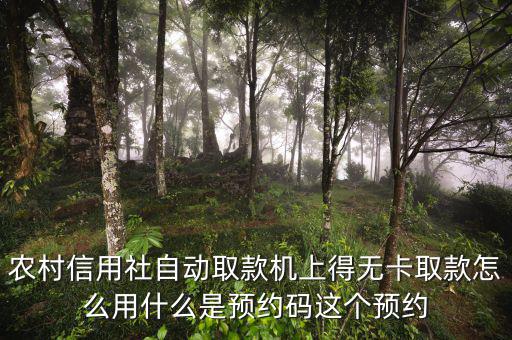 農行預約碼是什么，農商銀行預約取款預約碼是什么