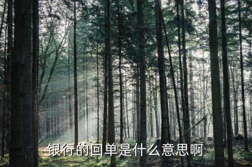 貸款資金回流什么意思，什么是貨款已付資金回流虛開(kāi)發(fā)票