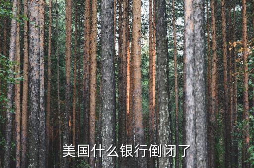 什么銀行倒閉了，美國(guó)什么銀行倒閉了