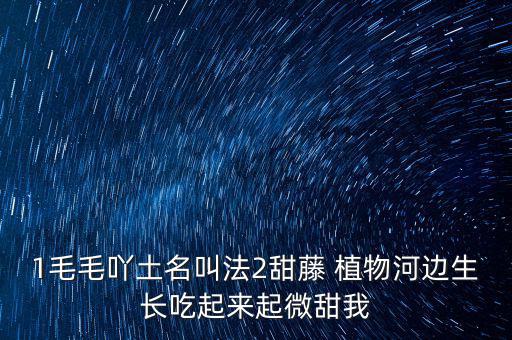 安徽有個(gè)什么林紙業(yè)，坐幾路公交車去安徽華泰林漿紙有限公司