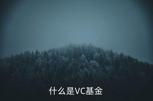 vc基金是什么，什么叫VC基金