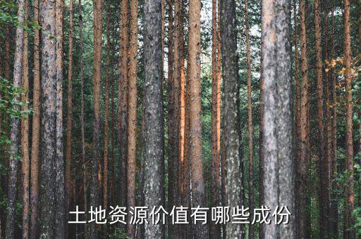 城市土地價值包括什么，土地竟得價值是什么意思