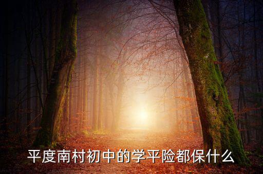 學平險保些什么，中國人壽60元的學平險保什么