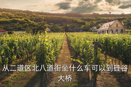 硅谷有什么橋，長春西安大路要去硅谷大橋要坐的公交車