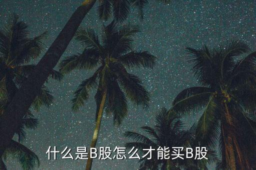 什么是b股賬戶，A股B股帳戶問(wèn)題