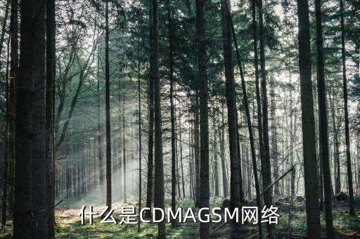 電信cdma是什么網(wǎng)絡，cdma是什么網(wǎng)絡