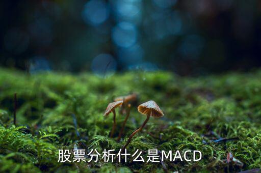 股票中macd是什么意思，股票中MACD指標(biāo)是什么意思