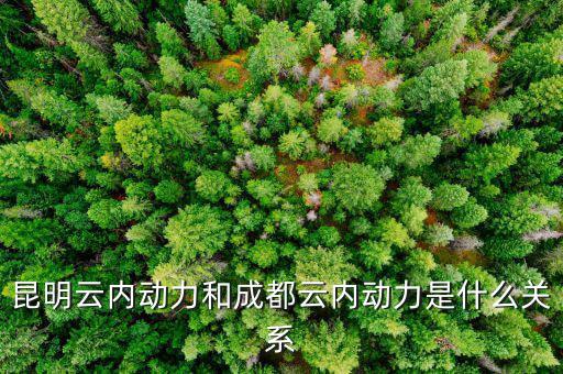 云南云內(nèi)動(dòng)力是什么性質(zhì)，什么是云內(nèi)發(fā)動(dòng)機(jī)