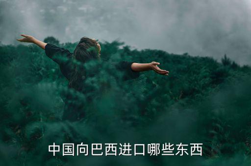 美國從巴西進口什么，中國向巴西進口哪些東西
