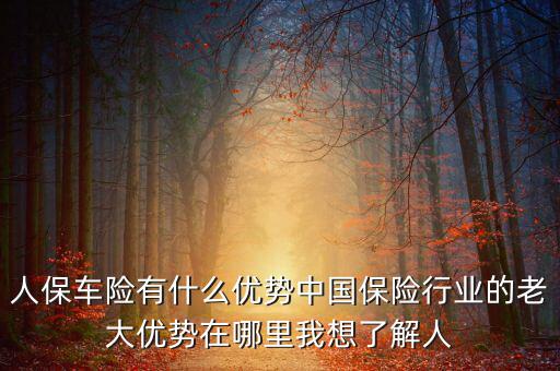 人保車(chē)險(xiǎn)有什么優(yōu)勢(shì)中國(guó)保險(xiǎn)行業(yè)的老大優(yōu)勢(shì)在哪里我想了解人