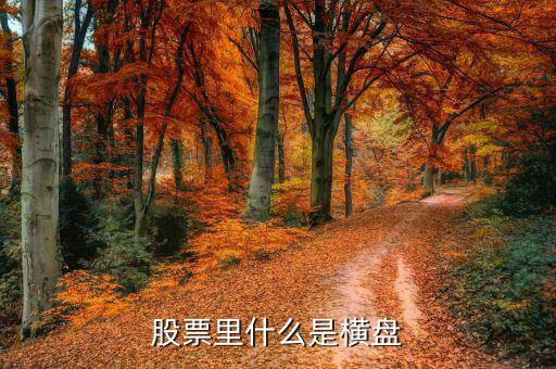 橫盤調(diào)整什么意思，股民們說的建倉橫盤是什么意思