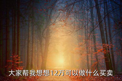 12萬(wàn)投資什么項(xiàng)目，投資十二萬(wàn)元能做什么呢