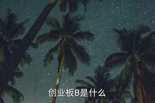 創(chuàng)業(yè)板b杠桿是什么，創(chuàng)業(yè)板B是什么