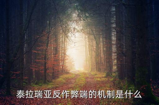 什么是反舞弊機(jī)制，google廣告聯(lián)盟反作弊系統(tǒng)原理嗎