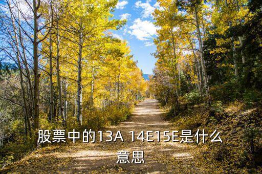 市盈率13a什么意思，財務報表中13A 14E 是什么意思