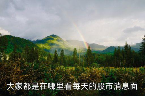 每天的股票信息看什么網(wǎng)站，大家都是在哪里看每天的股市消息面