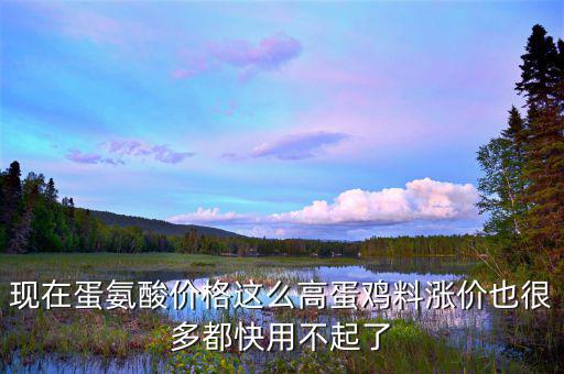 蛋氨酸價格為什么上漲，蛋氨酸持續(xù)走高面對利潤壓縮售價漲還是不漲歡迎討論