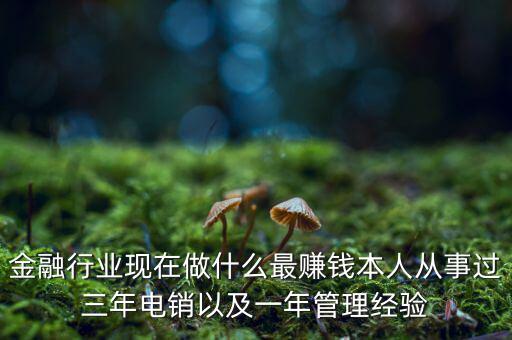 金融行業(yè)現(xiàn)在做什么最賺錢本人從事過(guò)三年電銷以及一年管理經(jīng)驗(yàn)