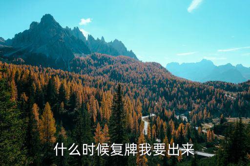 廣晟有色什么時(shí)候復(fù)牌，廣晟有色股票