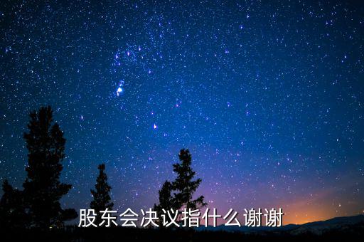 什么是股東會(huì)決議，有限責(zé)任公司決議叫股東會(huì)會(huì)決議那么國有企業(yè)決議應(yīng)該叫什