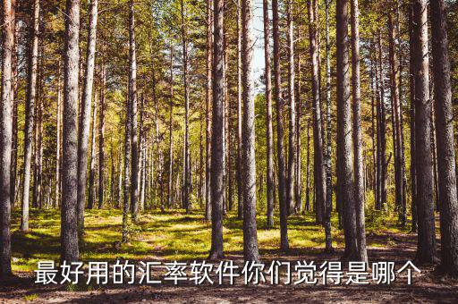 外匯用什么軟件，什么外匯交易軟件最好