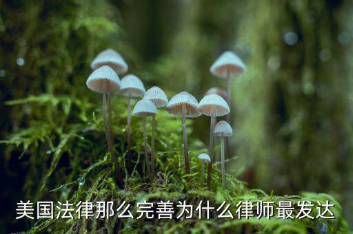 為什么美國賠償那么高，美國人為什么那么高