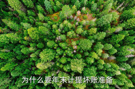 為什么計提壞賬準備，為什么計提壞賬準備